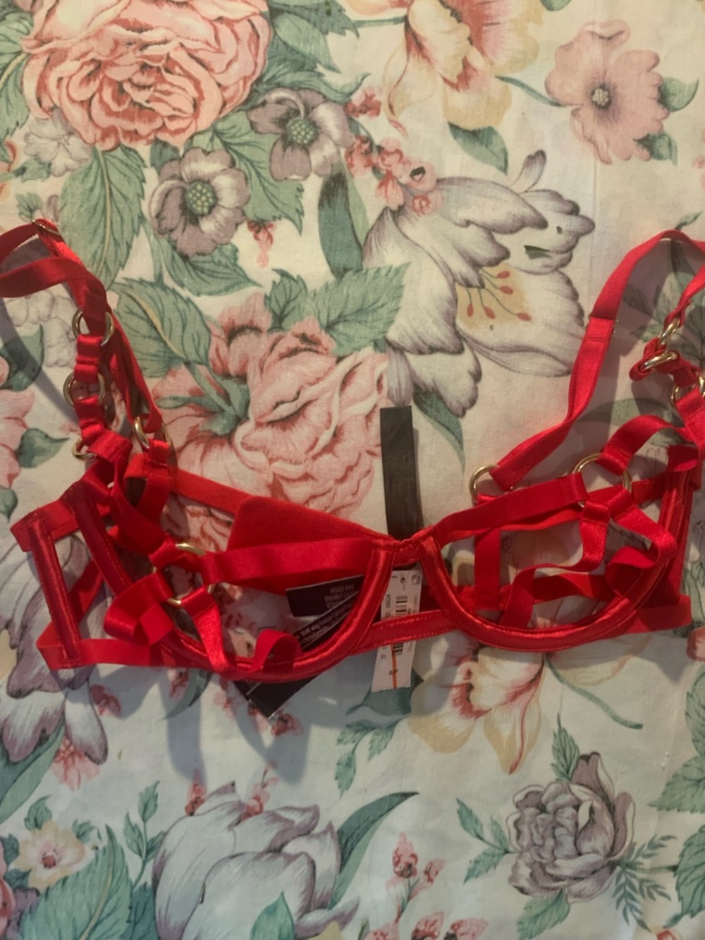 NWT Victoria Secret Women’s Red Strappy Satin Cage Bra Size Small